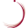 Zayed University logo